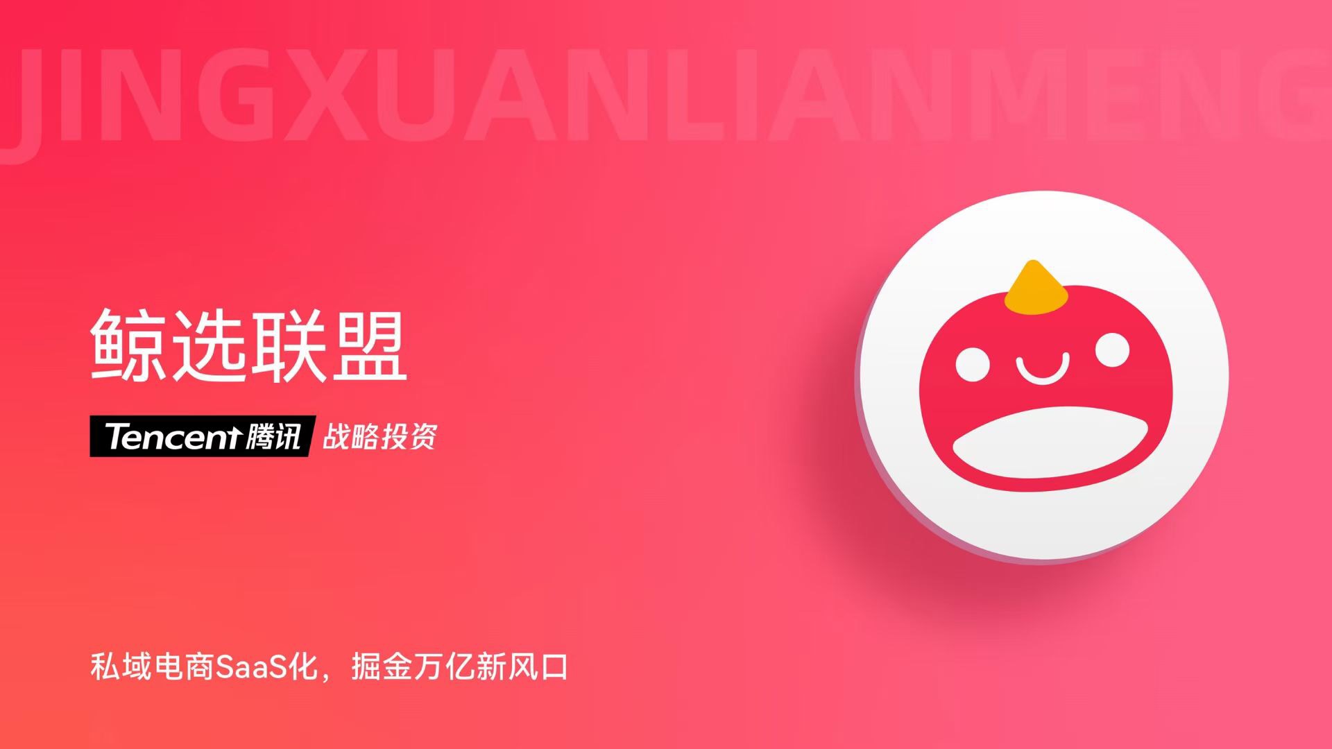 鲸选联盟是什么，鲸选联盟怎么开通？