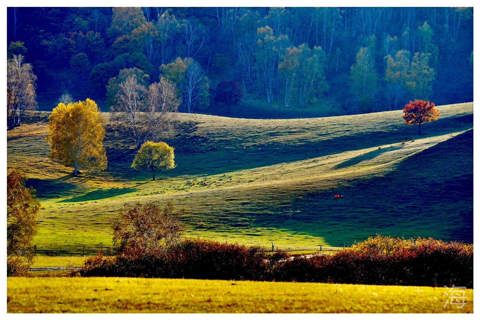 抖音极速版邀请码是多少?最新抖音极速版邀请码有哪些?