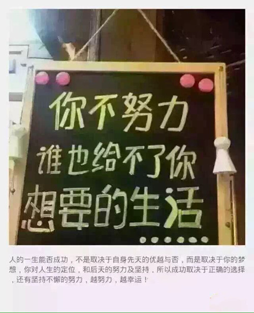 一篇文章带你了解“红辰乐购”