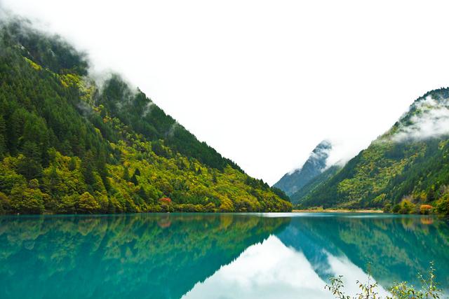 快手极速版邀请码是多少?最新快手极速版邀请码大全