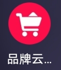 品牌云店铺做什么的，新人怎么加入品牌云店铺做店主