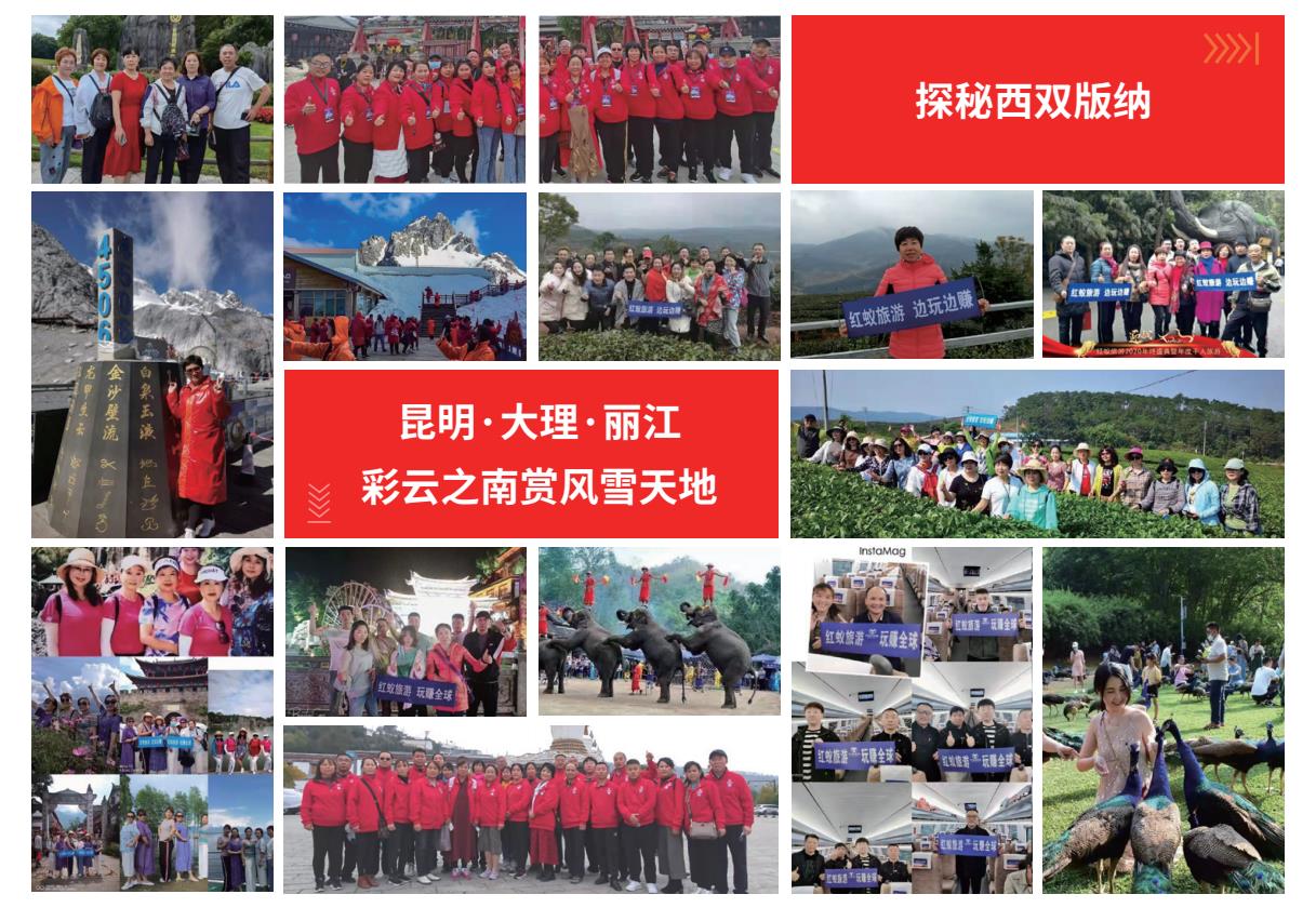 红蚁旅游App，10月刚上，首码对接，日收4-500元，三年实体企业