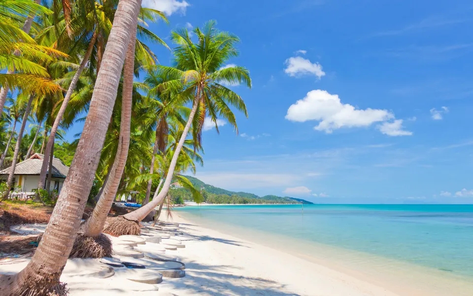 点淘邀请码点淘邀请码是多少？点淘邀请码大全