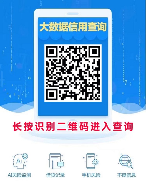 蓝冰数据大数据查询使用方法！