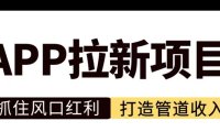 任推邦风口项目,持续输出地推拉新平台!
