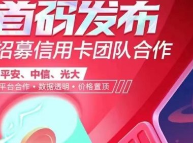 掌上推卡1.0模式更好用,高价办卡首选掌上推卡!
