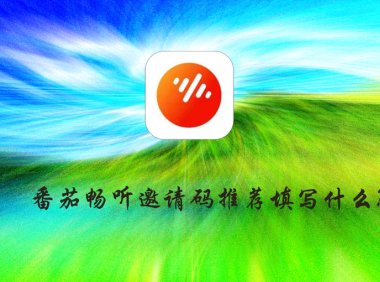 番茄畅听邀请码填什么？番茄畅听邀请码怎么填？